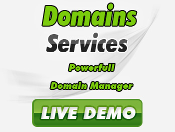 Cut-price domain name service providers